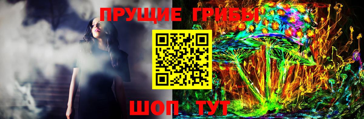 Оренбург  Галлюциногенные грибы прущие грибы  Вход с VPN 