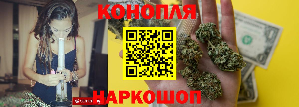 Конопля сатива Оренбург